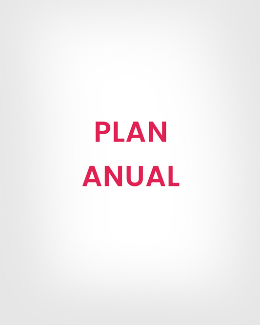Plan Anual